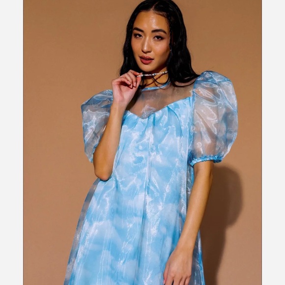 NWT Dressed in LALA Sky Cloud Organza Dress (M) - Picture 6 of 9